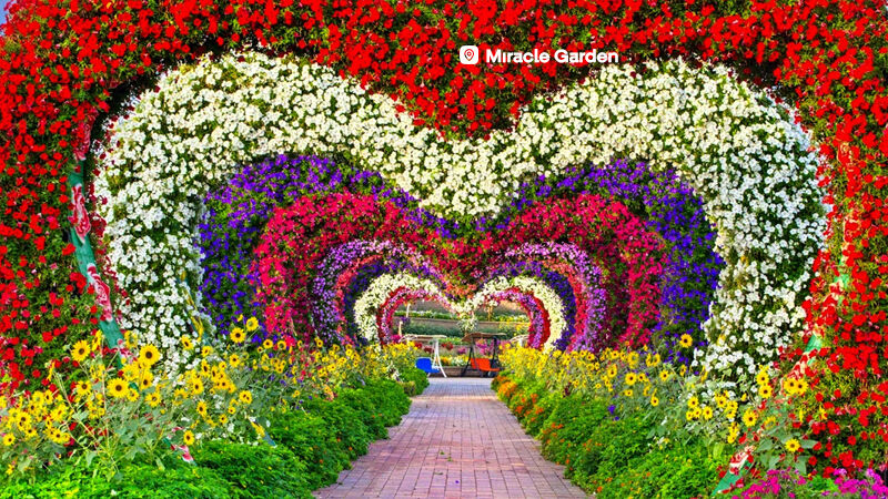 4 Gece 6 Gün Dubai Turu